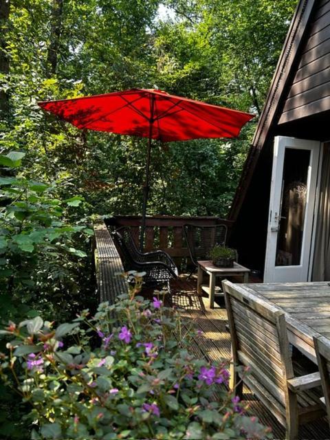 Chalet Woods Durbuy Exterior foto